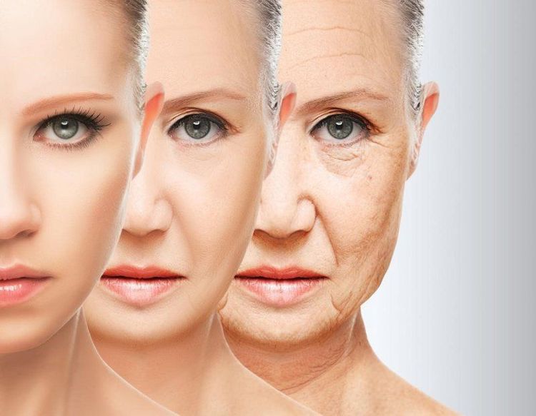Cấu trúc da lão hóa được cải thiện nhờ quá trình tăng sinh collagen nội sinh sau khi thực hiện căng chỉ