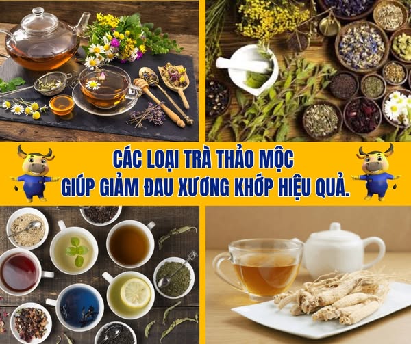 Tách trà thảo mộc ấm nóng hỗ trợ giảm đau xương khớp tự nhiên