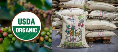 Quản lý rủi ro bảo quản trà hữu cơ