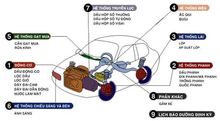 Máy móc hiện đại và quy trình bảo dưỡng lốp và thước lái ô tô chuyên nghiệp