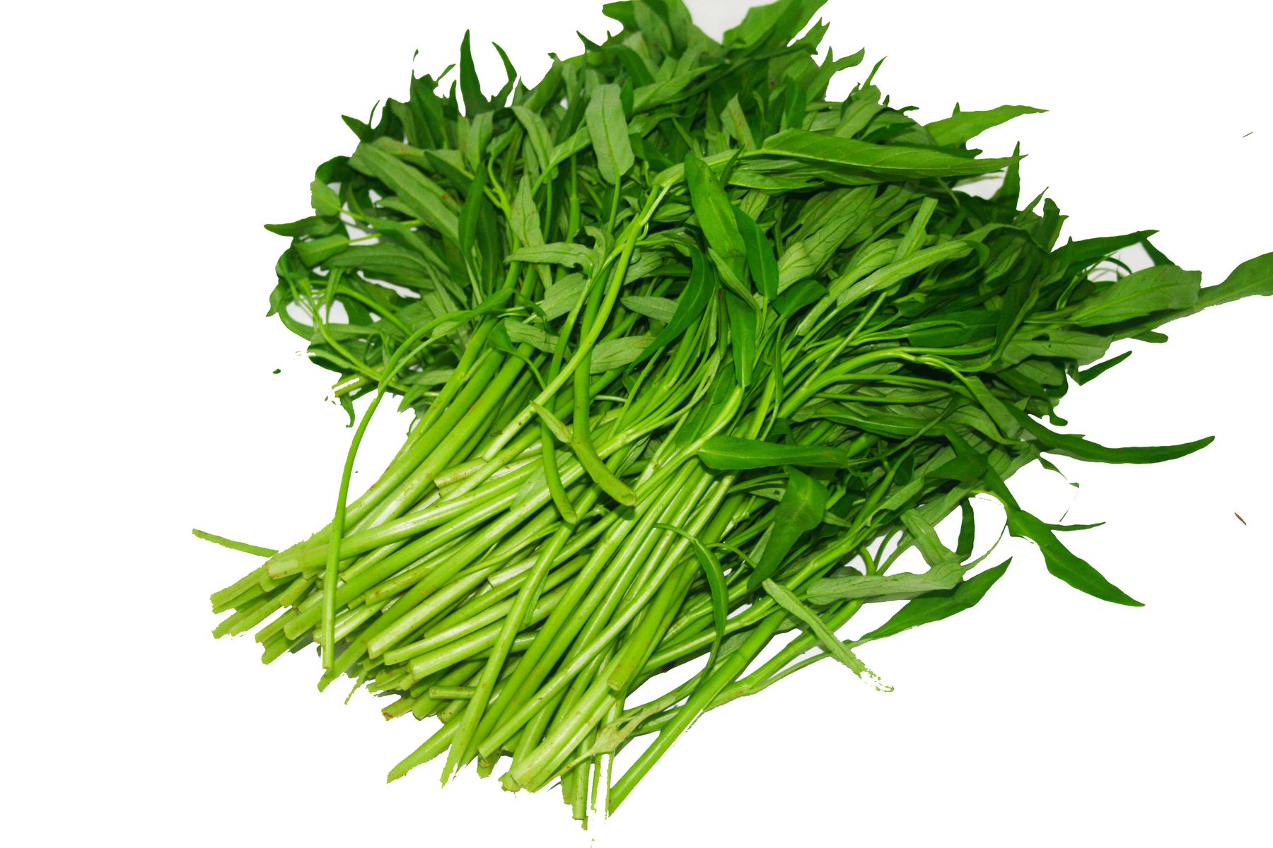 Thực phẩm hỗ trợ phục hồi sau phẫu thuật giúp vết thương nhanh lành