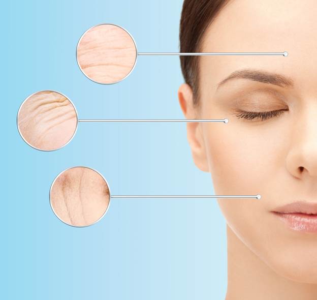 Lộ trình suy giảm collagen và elastin theo độ tuổi