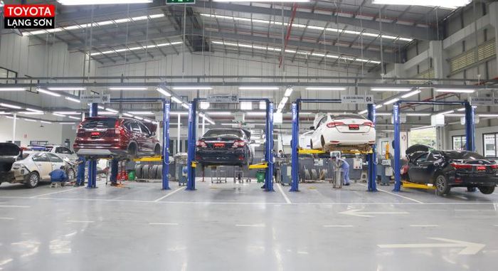 Kiểm tra mã DOT trên lốp xe Milestar
