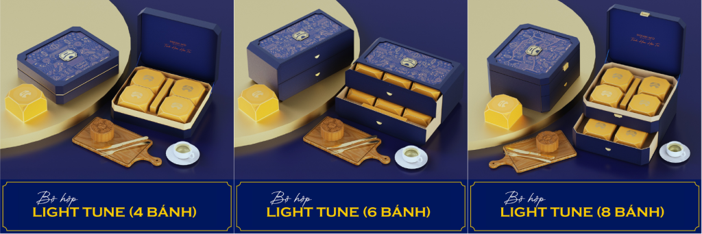 Hộp quà tặng in logo sang trọng cho doanh nghiệp