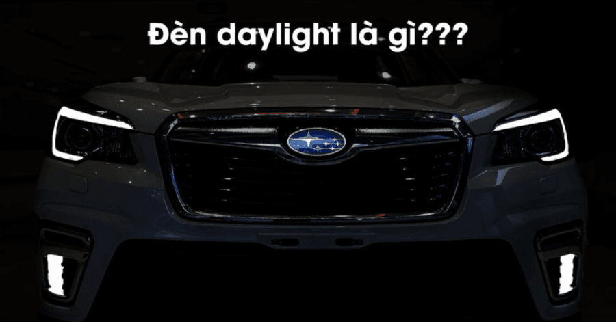 đèn daylight trên Foresrer