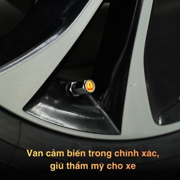 Thumbnail sản phẩm ICAR Việt Nam