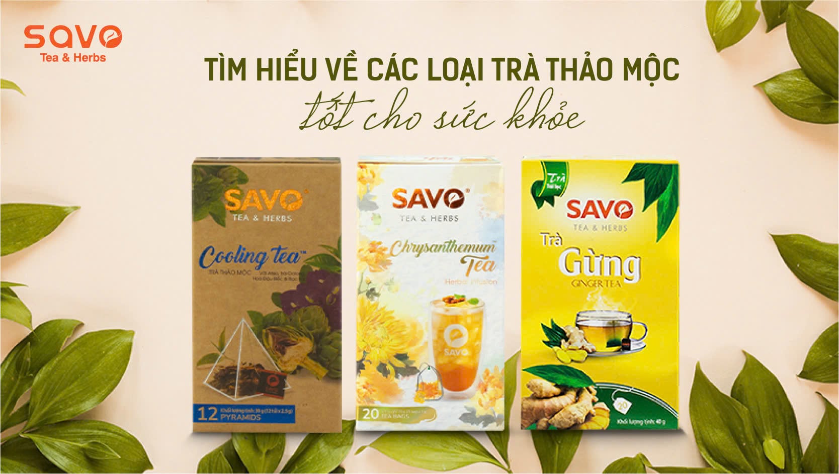 Tìm hiểu về các loại trà thảo mộc sạch được kiểm nghiệm nghiêm ngặt