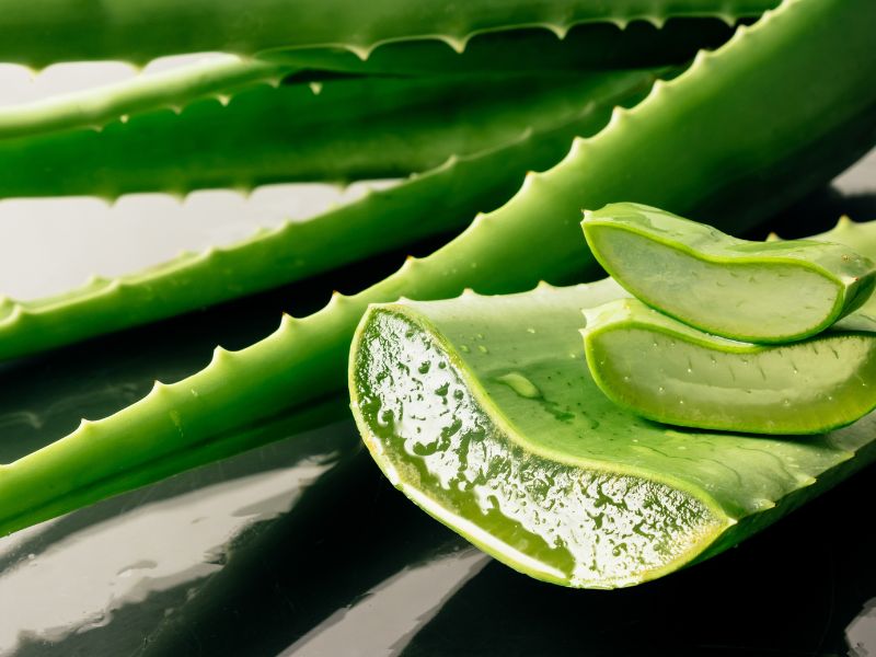 Thực hiện kiểm chứng độ tương thích trên da để đảm bảo an toàn