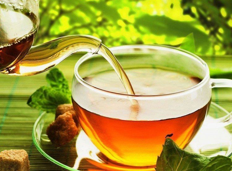 Trà gừng tầm xuân với các hợp chất chống viêm tự nhiên