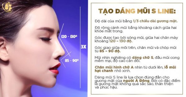 Phân tích dáng mũi S-line theo tỉ lệ vàng