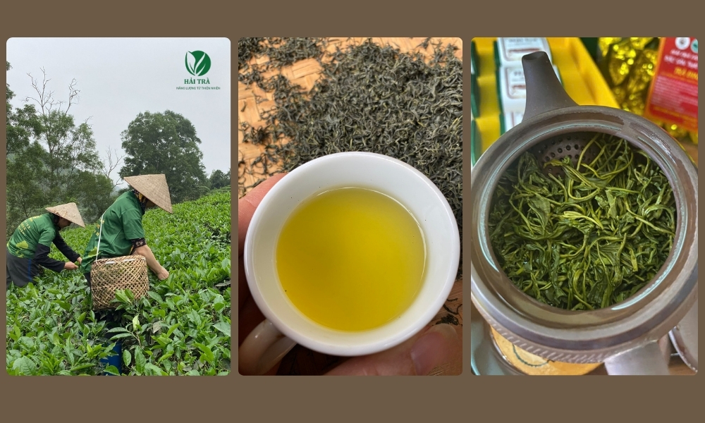 Nước trà thảo mộc tự nhiên với màu vàng trong và hương thơm nhẹ nhàng, thanh khiết