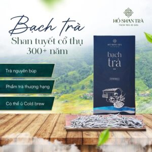 Hộp trà thảo mộc được thiết kế kín khí để bảo quản dược tính lâu nhất