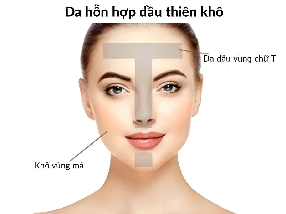 Sơ đồ chu trình tái tạo da sinh học tự nhiên, giúp phục hồi da tổn thương