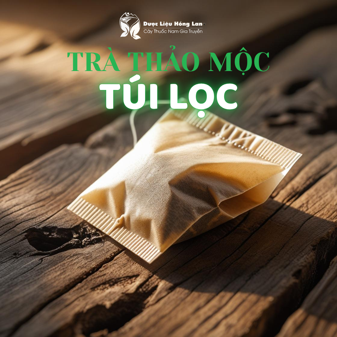 Tách trà thảo mộc túi lọc Lục Lam thư giãn tinh thần