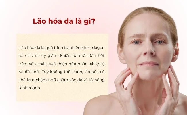 Cấu trúc hàng rào bảo vệ da và cơ chế giữ ẩm ngăn ngừa lão hóa sớm.