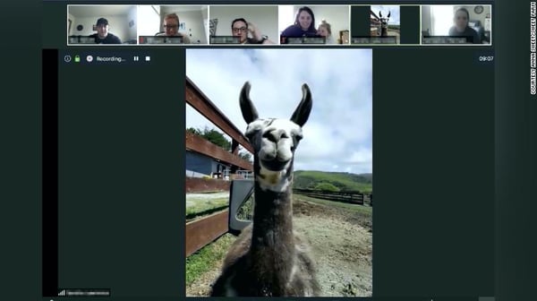 Virtual farm tour