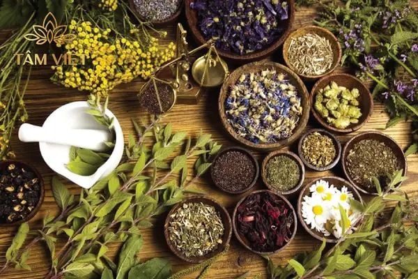 Trà thảo mộc nên uống sau bữa ăn 30 phút để tối ưu hấp thụ