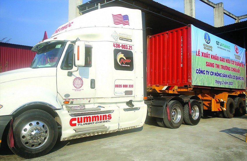 Quy trình kiểm soát chất lượng từ nông trại đến tách trà