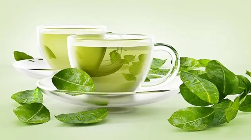 Chọn lựa các loại trà thảo mộc Lục Lam giúp hỗ trợ cơ địa của bạn tốt hơn
