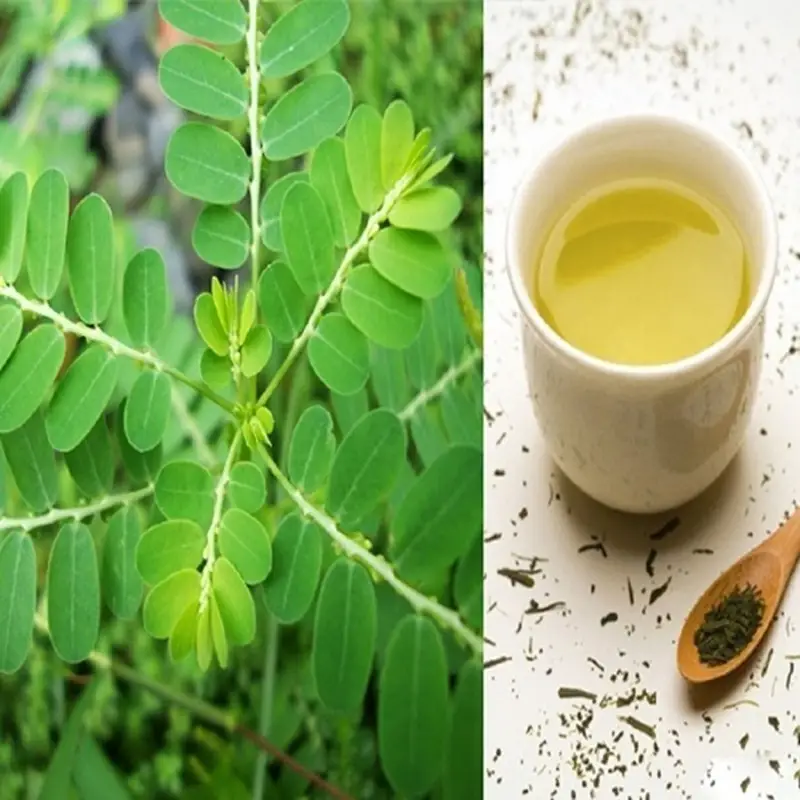 Người tiêu dùng lựa chọn các loại trà thảo mộc tự nhiên cho sức khỏe gan
