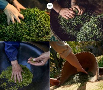 Cách kiểm tra độ trong của nước trà để phân biệt trà thảo mộc tự nhiên với trà tẩm hương liệu hóa học.