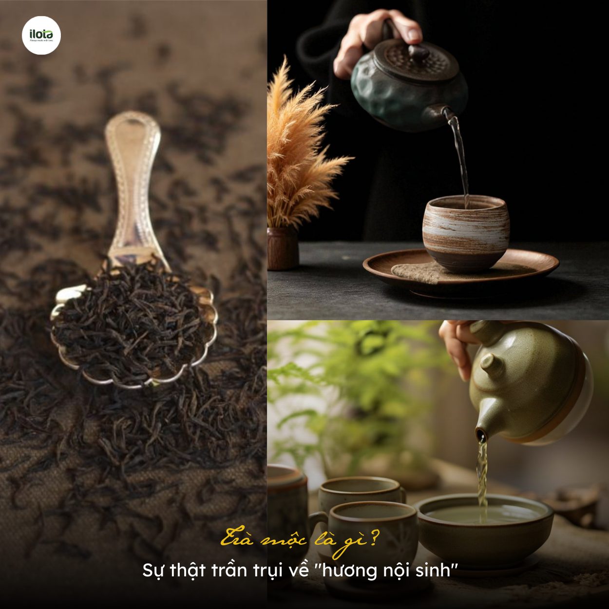 Trà mộc tinh khiết với hương thơm tự nhiên từ quá trình sao khô truyền thống