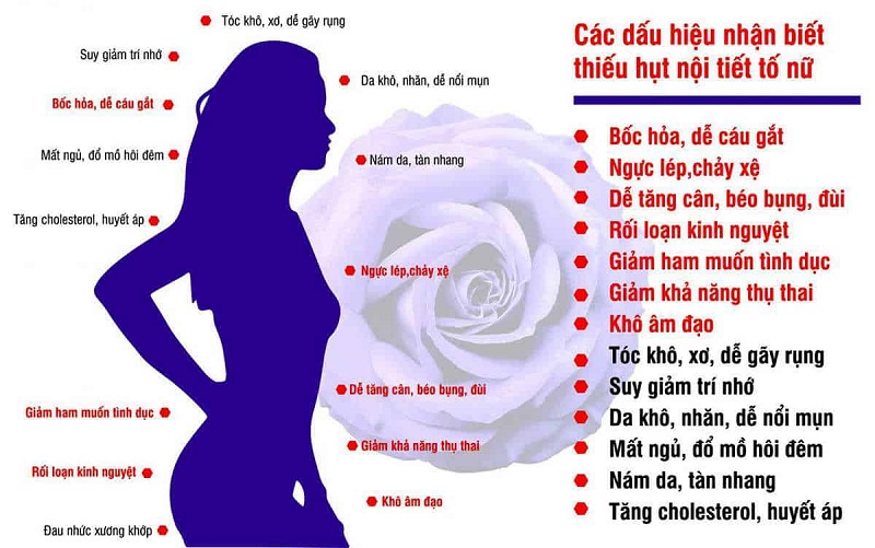 Phụ nữ cần hiểu cơ chế nội tiết để chăm sóc da hiệu quả