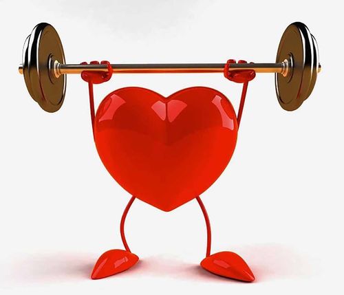 Sơ đồ mô phỏng tạng phủ trong thải độc nội sinh và sức khỏe da