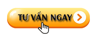 Chuyên gia Tân An Auto Gò Vấp tư vấn giải pháp phủ Ceramic và dán PPF bảo vệ sơn ô tô