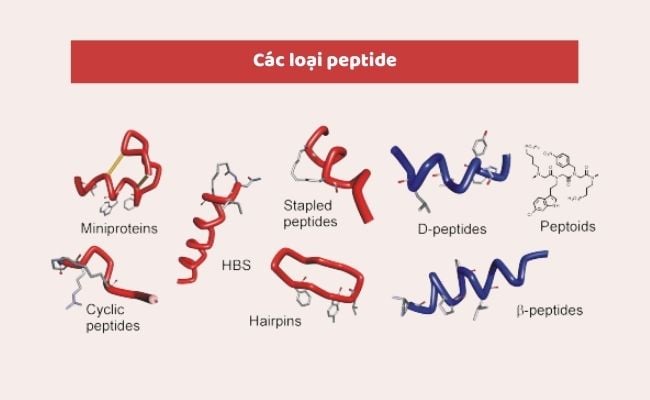Minh họa quy trình kết hợp công nghệ peptide và thiết bị thẩm mỹ để tối ưu hiệu quả giảm nhăn nâng cơ