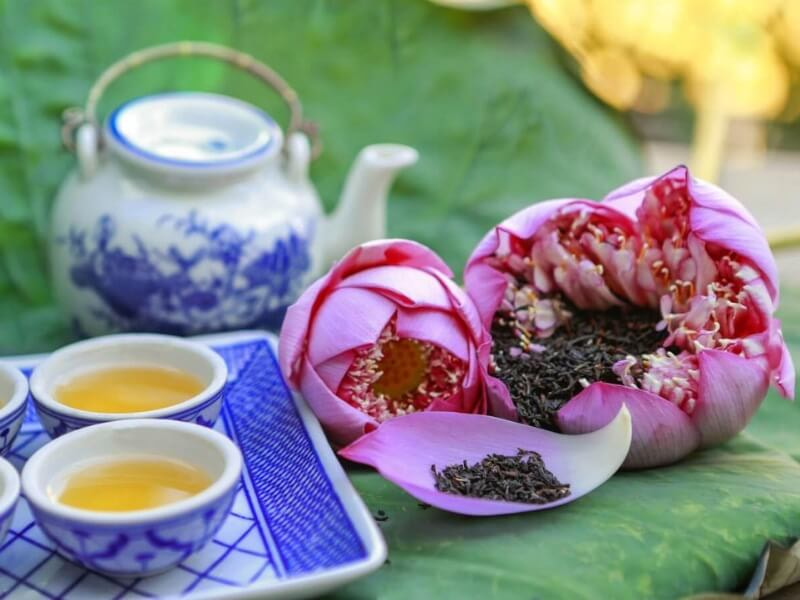Set quà tặng trà xanh và thảo mộc tươi mới, tự nhiên
