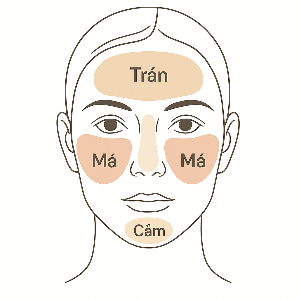 Sơ đồ mô phỏng quá trình hình thành sắc tố nám trên các vùng da mặt