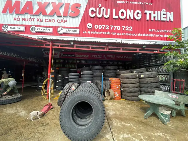 Chủ xe chủ động quản lý hồ sơ và kiểm tra thông số kỹ thuật lốp xe ô tô để đảm bảo an toàn