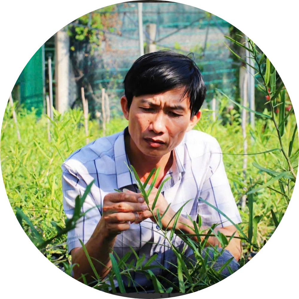 Thưởng trà an nhiên