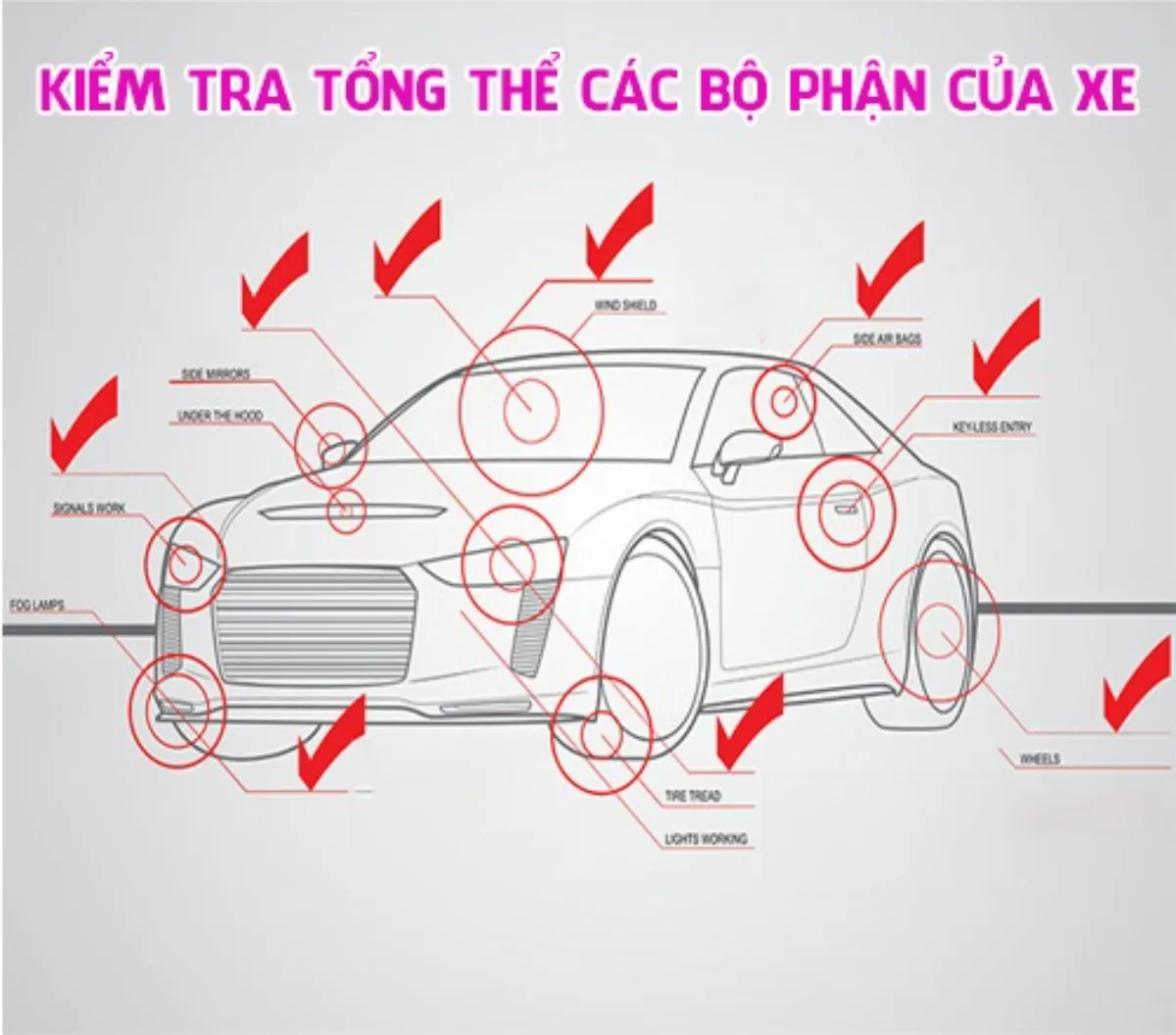 Checklist kiểm tra ngoại thất xe mới
