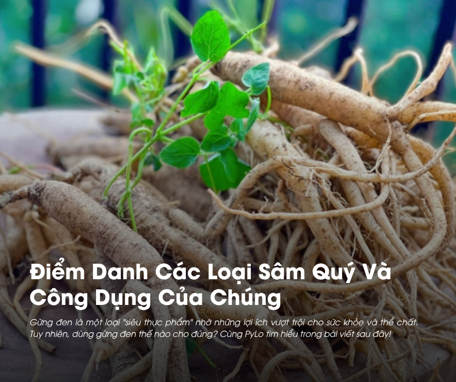 Quy trình sản xuất trà thảo mộc đạt chuẩn HACCP và ISO đảm bảo hoạt chất nguyên vẹn