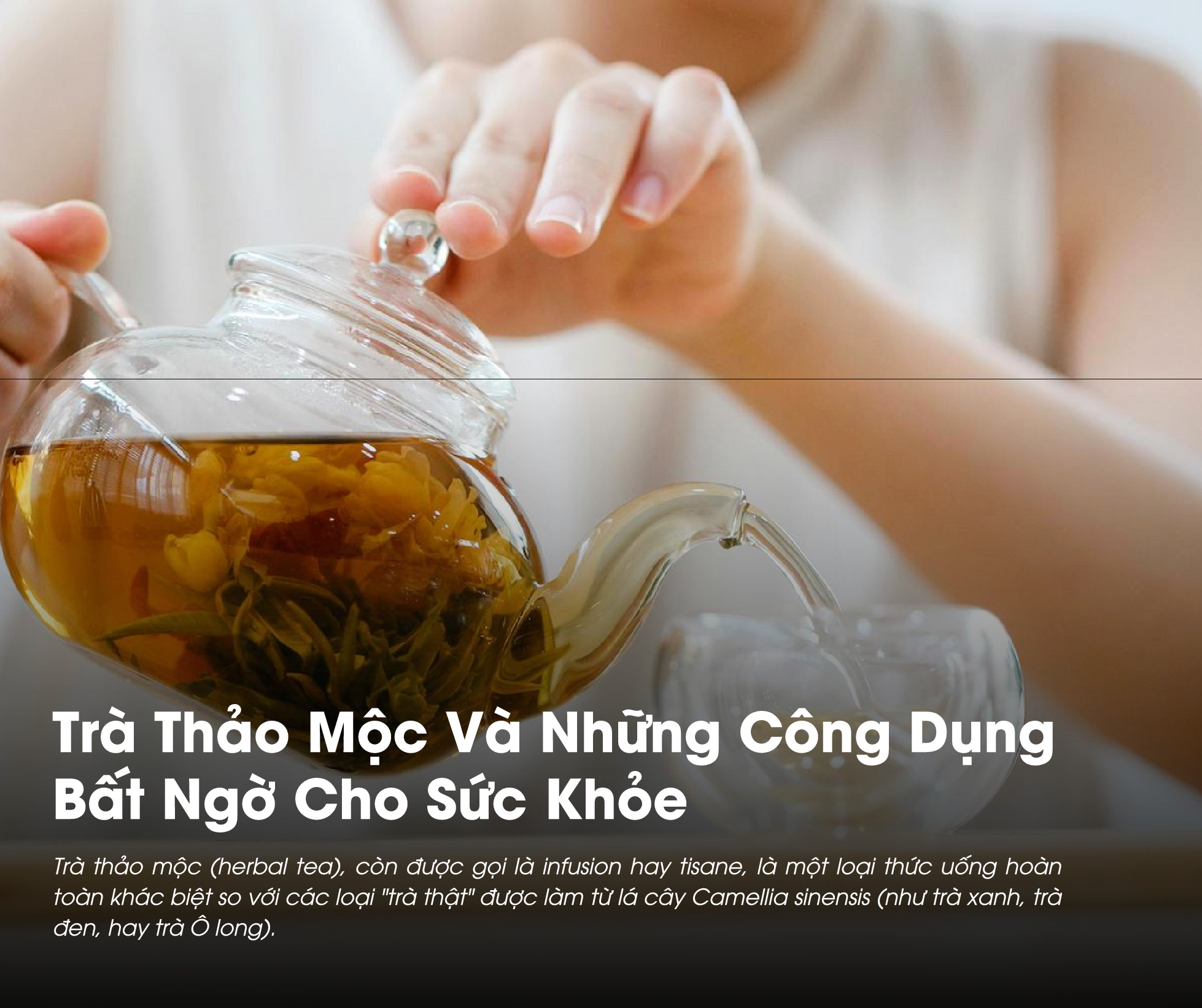 Khám phá cách trà thảo mộc tác động dịu nhẹ đến hệ thần kinh, giúp giảm stress và cải thiện giấc ngủ