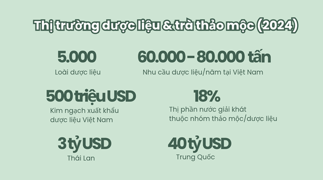 Người tiêu dùng hiện đại ưu tiên lựa chọn các loại trà thảo mộc có nguồn gốc minh bạch và tiêu chuẩn an toàn cao.