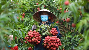 Một tách trà thảo mộc nóng hổi tỏa hương giữa không gian làm việc giúp khơi gợi sự tĩnh tại và tập trung tinh thần trong lối sống hiện đại.