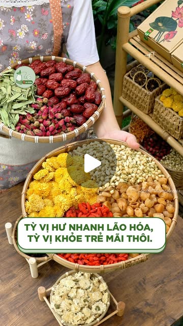 Đông Y và Dưỡng Sinh: Bí Quyết Đánh Thức Vẻ Đẹp Từ Gốc