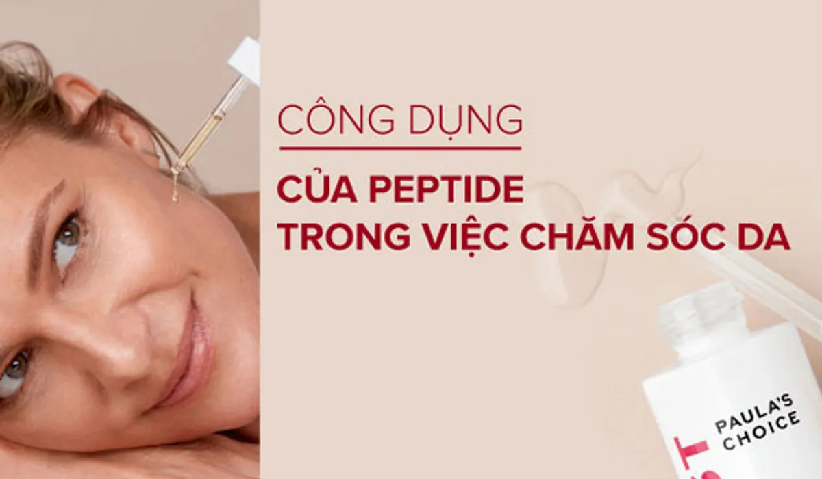Peptide Nâng Cơ: Cơ Chế Tế Bào Và Phân Loại Hiệu Quả