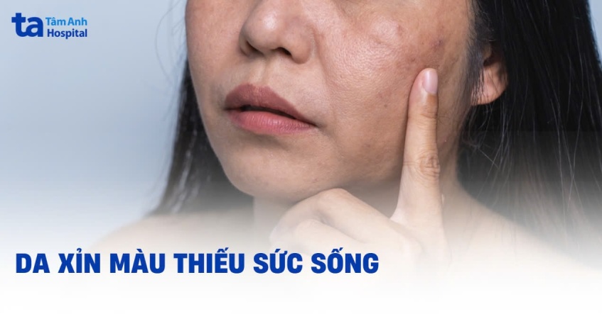 Đông Y và Dưỡng Sinh: Bí quyết chăm sóc da từ gốc rễ