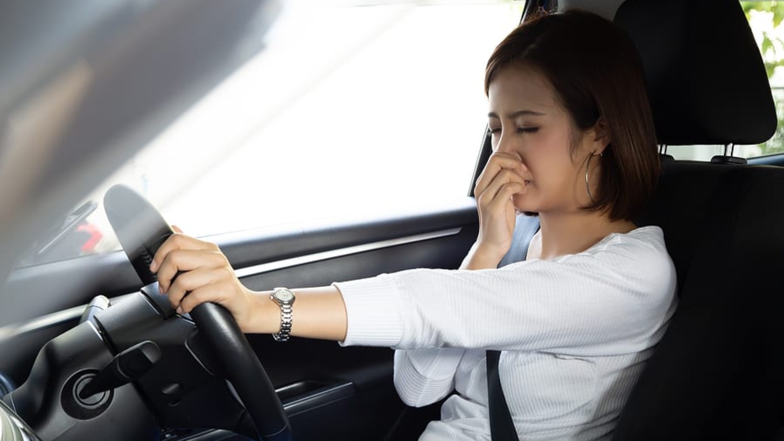 5 sai lầm khi khử mùi xe hơi: Nước hoa, máy lọc không khí