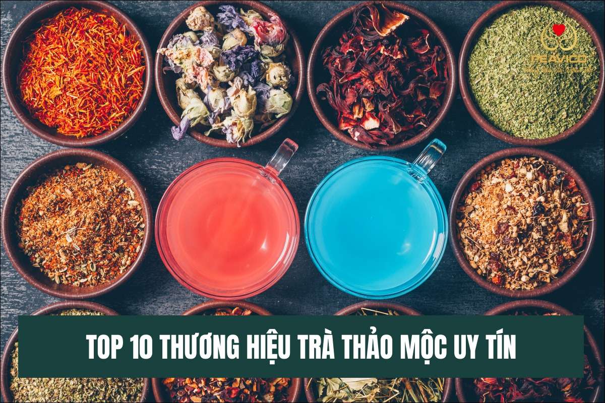 So sánh trà thảo mộc Việt Nam uy tín: Chọn loại hợp cơ địa