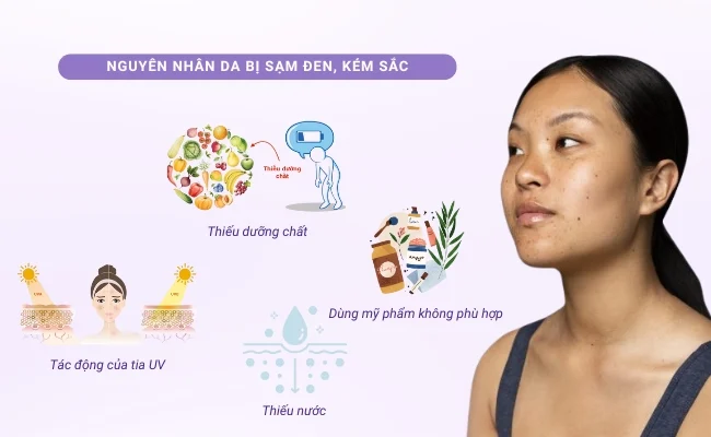 Đông Y + Dưỡng Sinh: Bí Quyết Làm Đẹp Da Từ Gốc Rễ