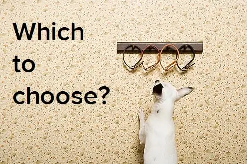 How to Choose the Right Blog Topic for AI-Ready Content