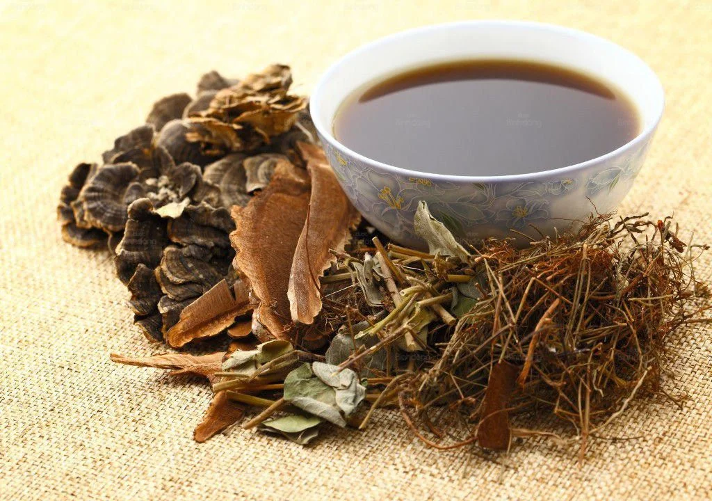 Gan Thận Hư Suy: Cơ Chế Đông Y Gây Nám Da và Lão Hóa Sớm