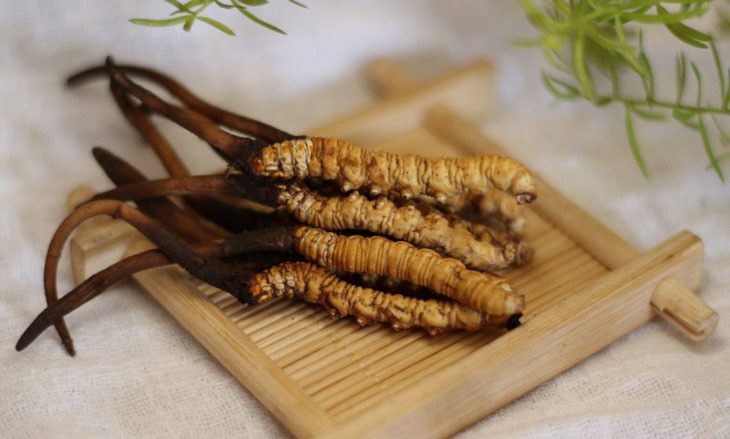 Set quà đối tác: Gửi trân trọng mà không cần nhiều lời