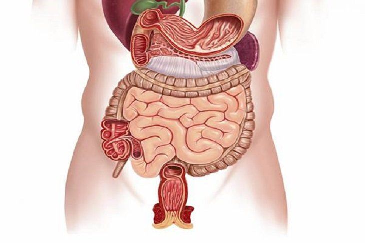 Đông Y và dưỡng sinh: Bí quyết chăm sóc da từ bên trong
