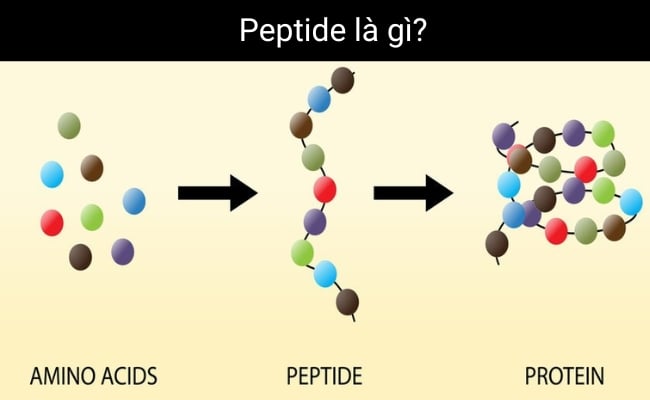 Công nghệ Peptide trong Thẩm mỹ nâng cơ không xâm lấn